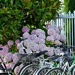 Les Places Dorees 호텔 노트르담드몽