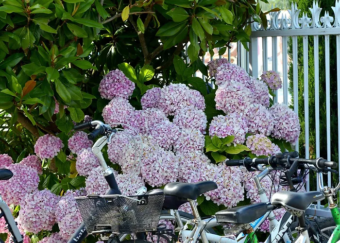 Les Places Dorees Hotel Notre-Dame-de-Monts